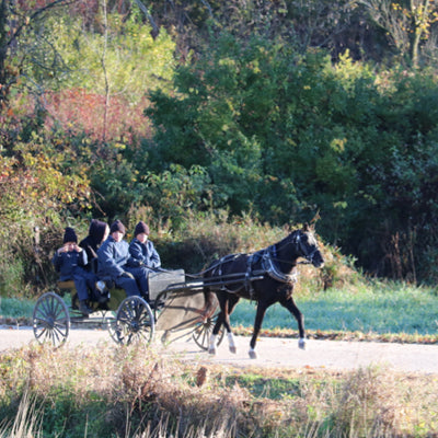 The Amish Scholars and Their Pony Cart